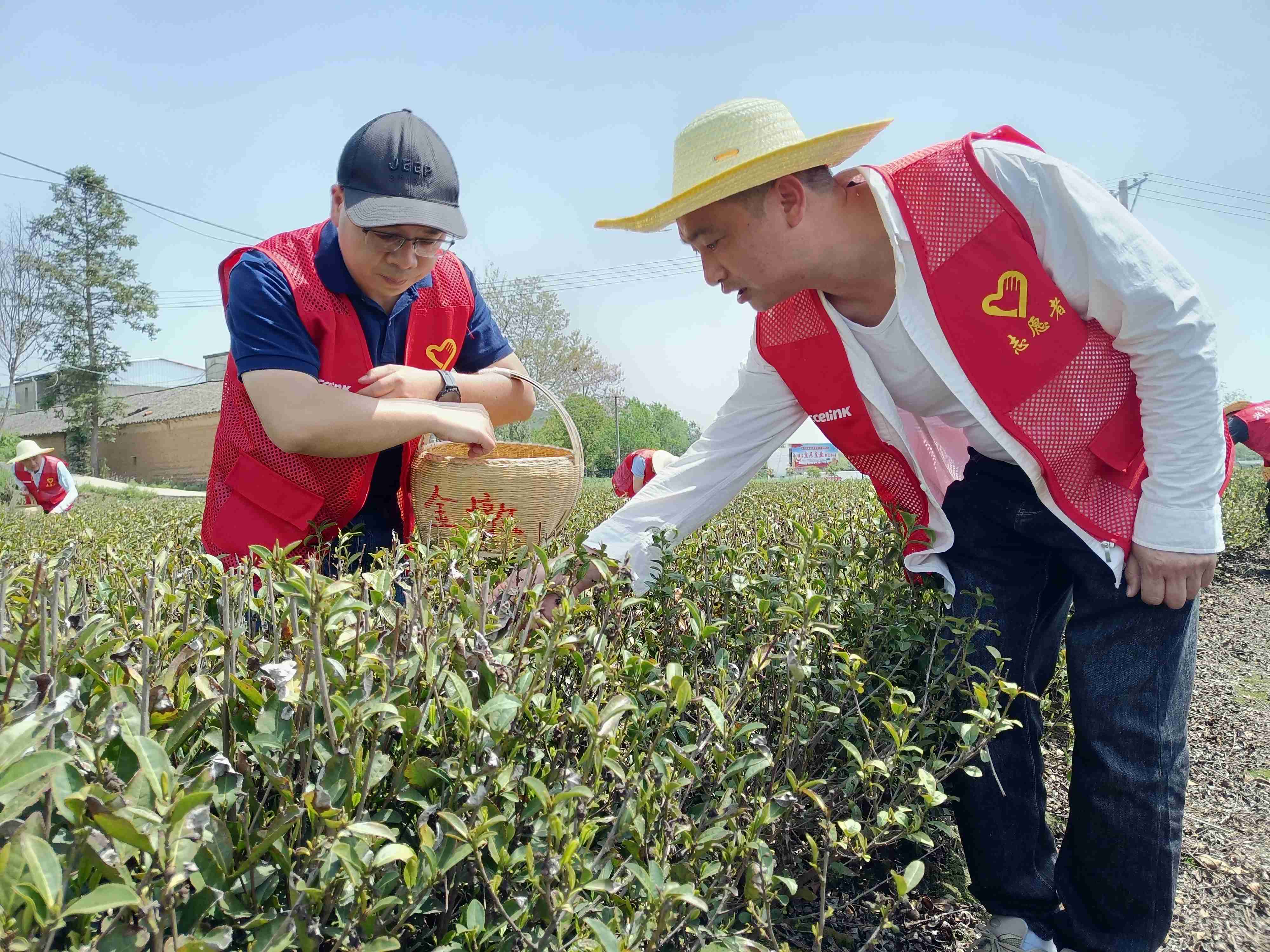 luck18xinli(�й���)-�ٷ���վ